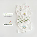 Children's Underwear Class A Pure Cotton Antibacterial Cartoon Boy